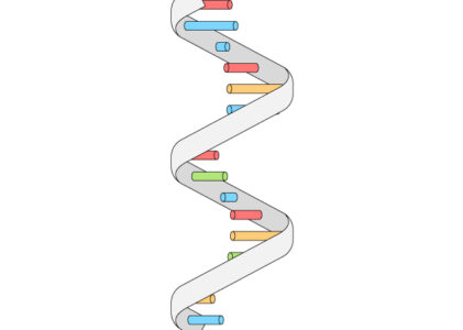 ARN una molécula clave en comunicación celular.