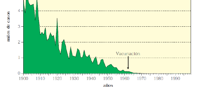 La mortalidad durante el siglo xx y la contribución de la vacunación.